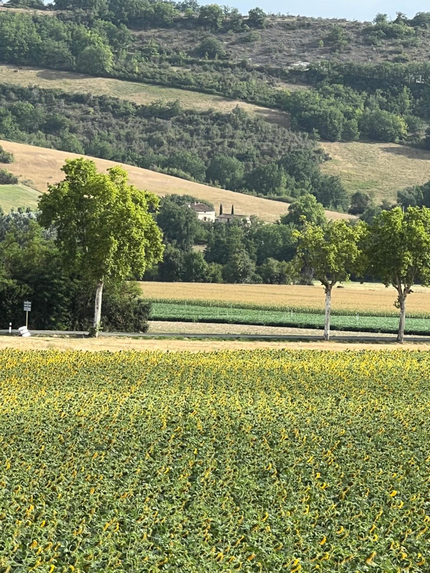 La Bastide De La Bogne Bed & Breakfast Vindrac-Alayrac ภายนอก รูปภาพ